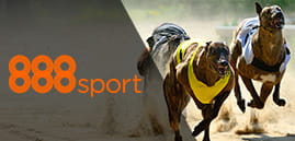 888sport logo and greyhounds