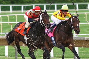 Horse Racing Sports Betting