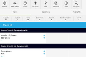 The Mobile Platform of a New Sports Betting Site