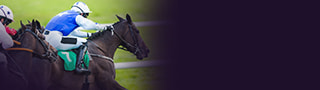 netbet